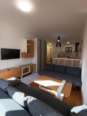 Apartman Markovic Rich